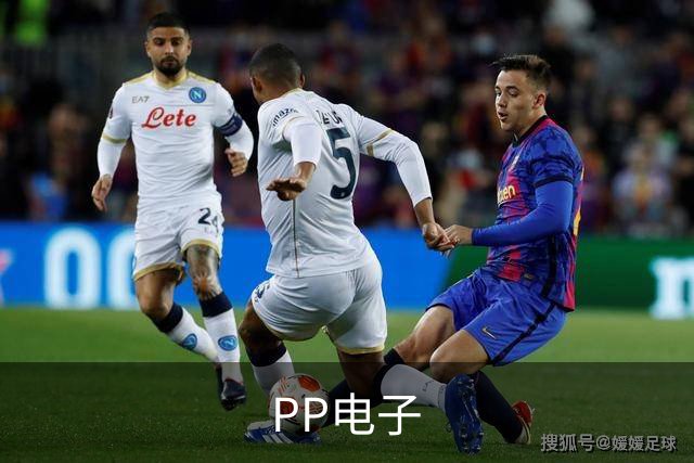 PP电子公司介绍展示图